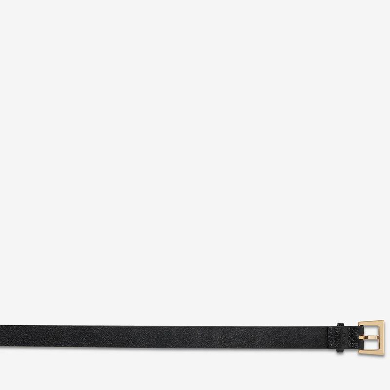 Status Anxiety Part Of Me Belt image number 1